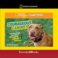 Courageous_Canine
